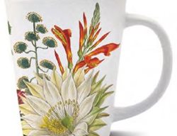  Botanical Print, Latte Mug
Desert Botanical Garden
Phoenix, AZ