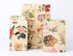 Botanical Wrapping Paper, Vintage Wrapping Paper
Garden Design
Calimesa, CA