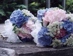 Bouquets Of Hydrangea And Queen Anne's Lace
Garden Design
Calimesa, CA