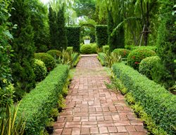 Boxwood Edged Pathway
Shutterstock.com
New York, NY