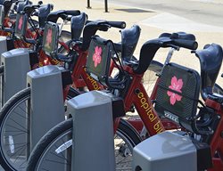 Branded Rental Bikes From The Captiol Bikeshare Program
Garden Design
Calimesa, CA