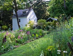 Brandywine Cottage In Spring
Garden Design
Calimesa, CA