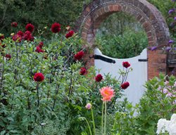 Brick Arch, Herbaceous Border 
Garden Design
Calimesa, CA