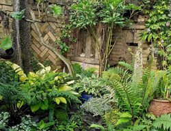 	Brick Detail In Tropical Style Garden				
Garden Design
Calimesa, CA