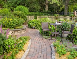 Brick Pathway In Patio Garden
Proven Winners
Sycamore, IL