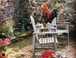Brick Patio, Garden Chairs, Rooster
Garden Design
Calimesa, CA