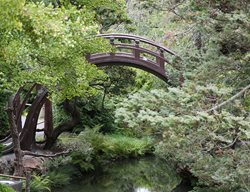 Bridge At Japanese Tea Garden
Garden Design
Calimesa, CA