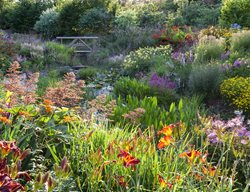 Bridge In Garden, Orange Daylilies
Garden Design
Calimesa, CA