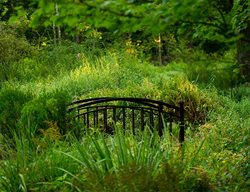 Bridge Over Wetlands
The LaurelRock Company
Wilton, CT