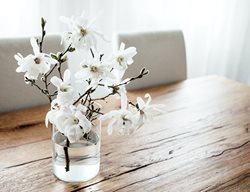 Bring In Flowering Branches
Garden Design
Calimesa, CA