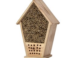 Bring In The Bees
Garden Design
Calimesa, CA