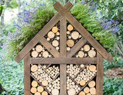 Bring In The Birds, Bees, And Butterflies
Garden Design
Calimesa, CA