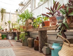 Bring In Tropical Plants
Garden Design
Calimesa, CA