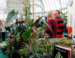 Brooklyn Botanic Garden
Brooklyn, NY