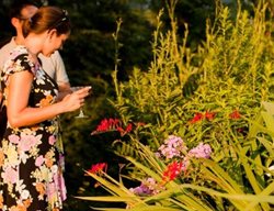 Brooklyn Botanic Twilight Tuesdays
Garden Design
Calimesa, CA
