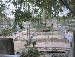 Brooklyn Red Hook Garden 
Garden Design
Calimesa, CA