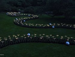 Bruce Munro, Longwood Gardens, Lighted River Of Sage
Garden Design
Calimesa, CA