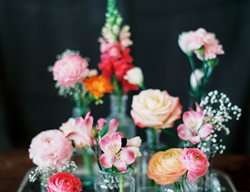 Bud Vases, Antique Tray
Celadon & Celery
New York, NY