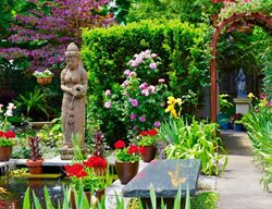 Buffalo Garden Walk
Garden Design
Calimesa, CA