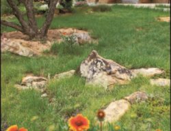 Buffalo Grass Lawn (buchloe Dactyloides)
Garden Design
Calimesa, CA