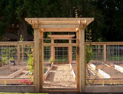 Build A Raised-Bed Garden
Garden Design
Calimesa, CA