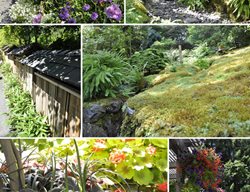 Butchart-Gardens
Garden Design
Calimesa, CA