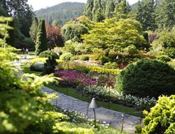 Butchart Sunken Garden
Garden Design
Calimesa, CA