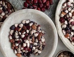 Butter Beans
Garden Design
Calimesa, CA