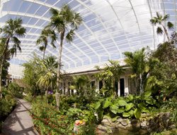 Butterfly Conservatory
Garden Design
Calimesa, CA
