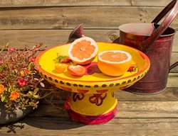 Butterfly Feeder, Butterfly Garden
Proven Winners
Sycamore, IL