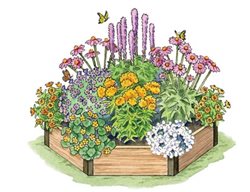 Butterfly Garden, Pollinator Garden
Gardener's Supply Company
Burlington, VT