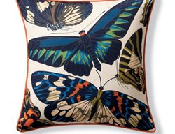 Butterfly Pillow
Garden Design
Calimesa, CA