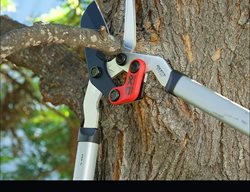 Bypass Lopper
Corona Tools
Corona, CA