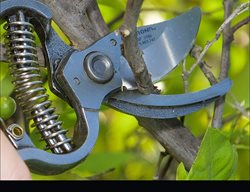 Bypass Pruner
Corona Tools
Corona, CA