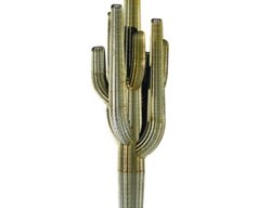 Cactus Sculpture
Garden Design
Calimesa, CA