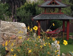 California Flower, Native Plants
Theodore Payne Foundation
Sun Valley, CA