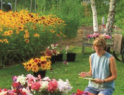 Canning Jars, Antique Milk Carriers, A Keating Signature
Garden Design
Calimesa, CA