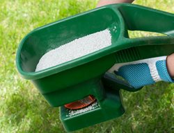 Care For Your Lawn
Garden Design
Calimesa, CA