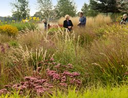 Carex Tours
Takoma Park, MD