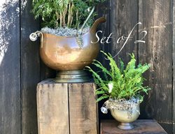 Carolynn Dilbeck
Calimesa, CA