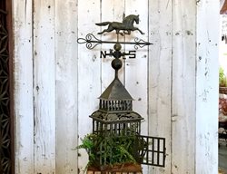 Carolynn Dilbeck
Calimesa, CA