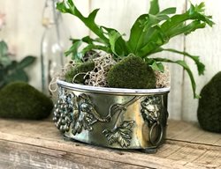 Carolynn Dilbeck
Calimesa, CA