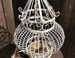 Carolynn Dilbeck
Calimesa, CA