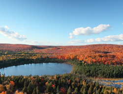 Catch A Glimpse Of Fall Color 
Garden Design
Calimesa, CA