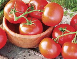 Celebrity Tomato, Garden Tomatoes
Garden Design
Calimesa, CA
