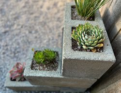 Cement Block Planter
Garden Design
Calimesa, CA