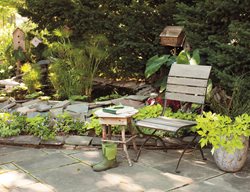 Chair And Table By Pond
Proven Winners
Sycamore, IL