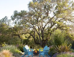 Chairs And Fire Pit, Rustic Setting, Blue Chairs, Fire Pit
Garden Design
Calimesa, CA