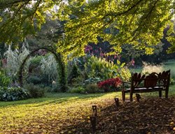Chanticleer Cutting Garden
Garden Design
Calimesa, CA