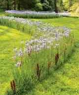 Chanticleer
Garden Design
Calimesa, CA